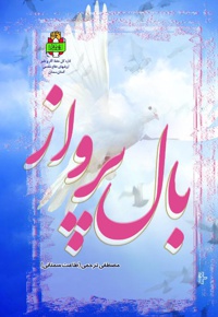 بال پرواز